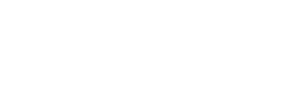 LOGO 1 MEDSOC-min